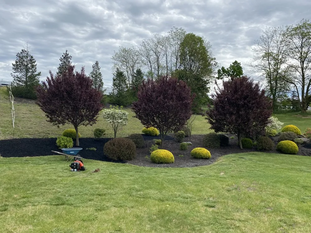 Affordable lawn mowing service for outdoor upgrades across Larksville, PA - Prestige Flowers and Landscaping