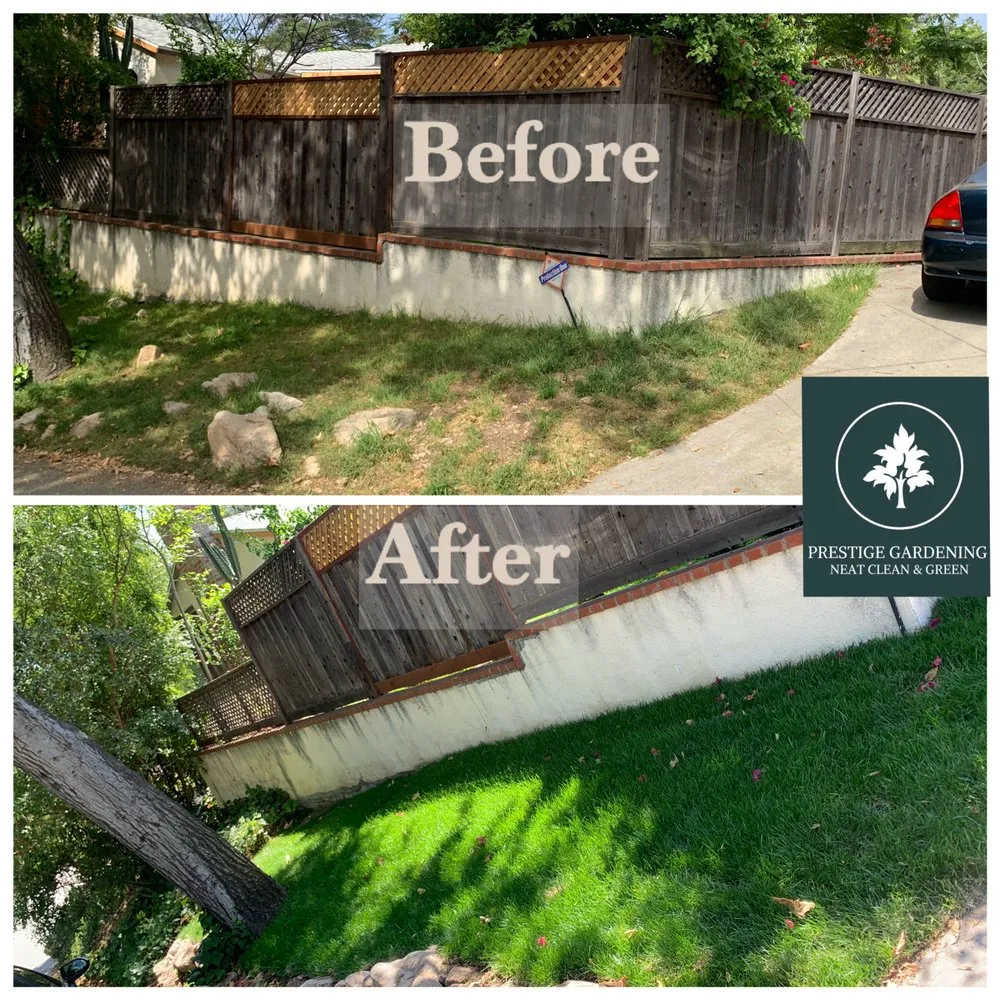 Local outdoor landscaping in Pasadena, CA - Prestige Gardening Service