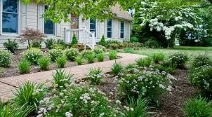 Professional landscaping services for year-round maintenance across Pasadena, CA - Prestige Gardening Service