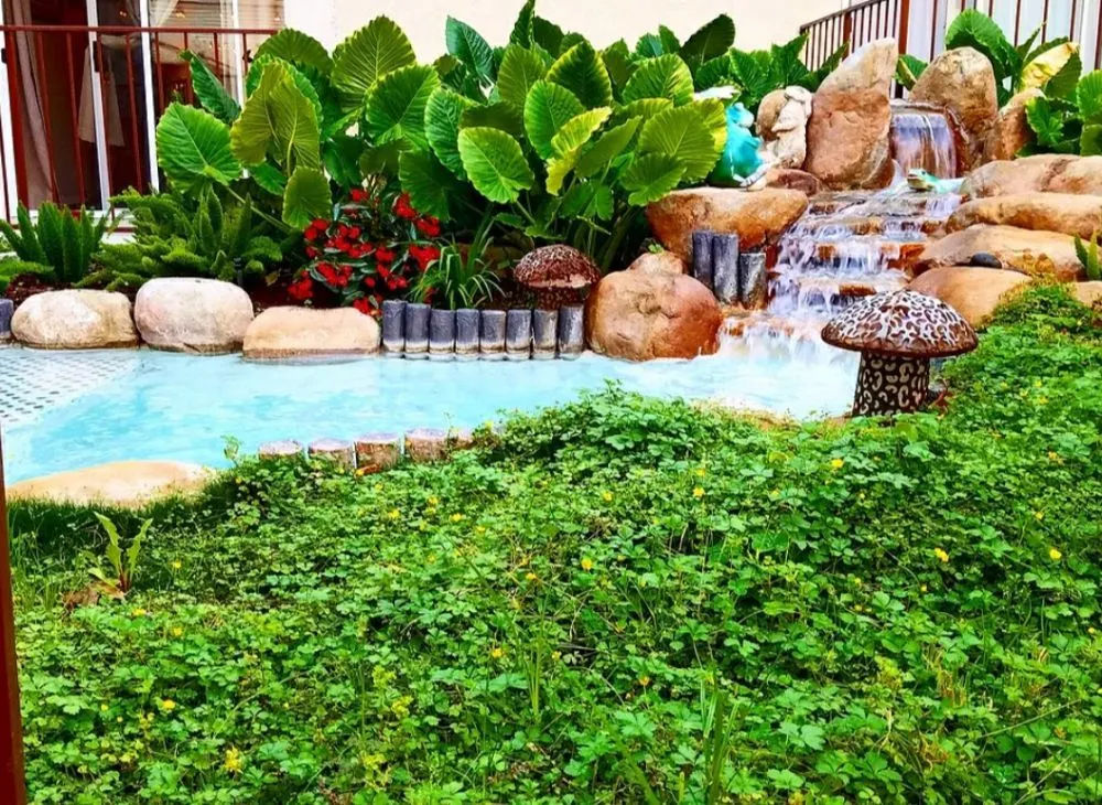 Affordable landscape design in Pasadena, CA - Prestige Gardening Service