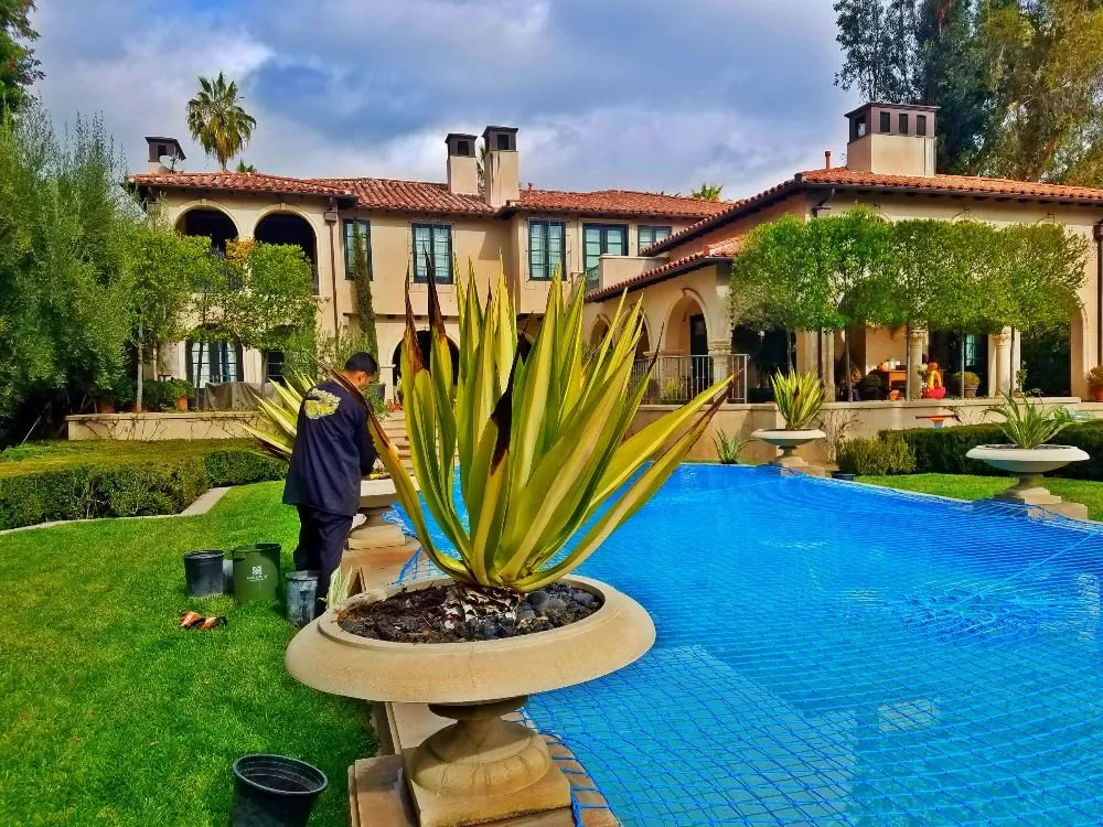 Trusted yard maintenance for year-round maintenance across Pasadena, CA - Prestige Gardening Service