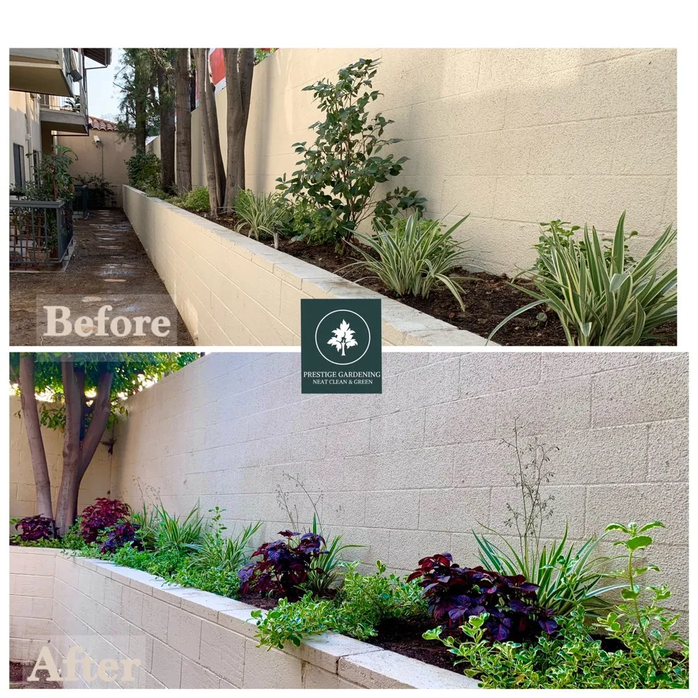Top-rated landscape installation for residential properties in Pasadena, CA by Prestige Gardening Service