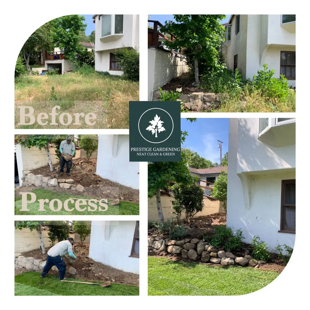 Expert landscape installation in Pasadena, CA - Prestige Gardening Service