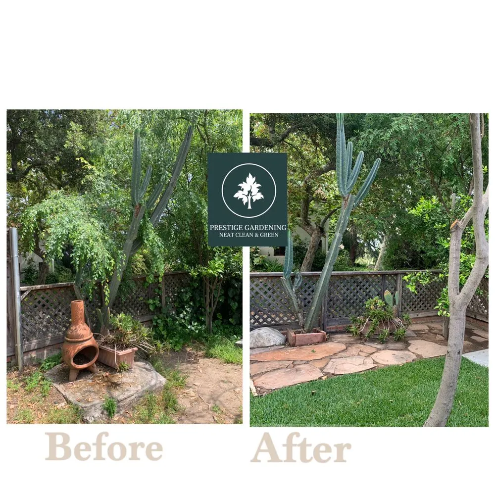 Professional residential landscaping for residential properties in Pasadena, CA by Prestige Gardening Service