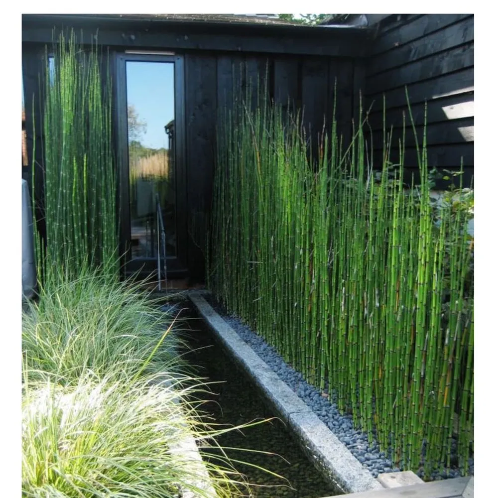 Professional residential landscaping in Pasadena, CA - Prestige Gardening Service