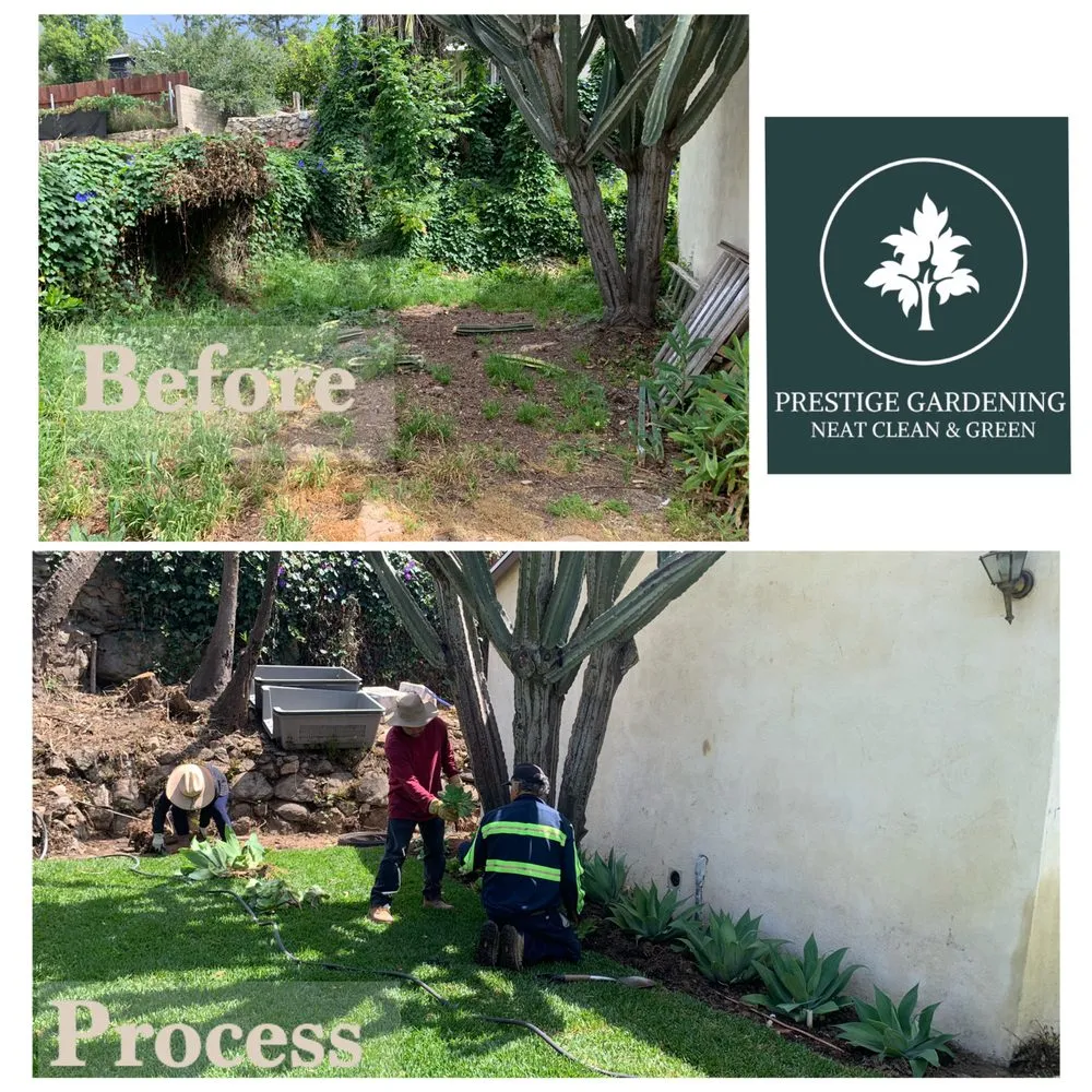 Professional garden landscaping in Pasadena, CA - Prestige Gardening Service