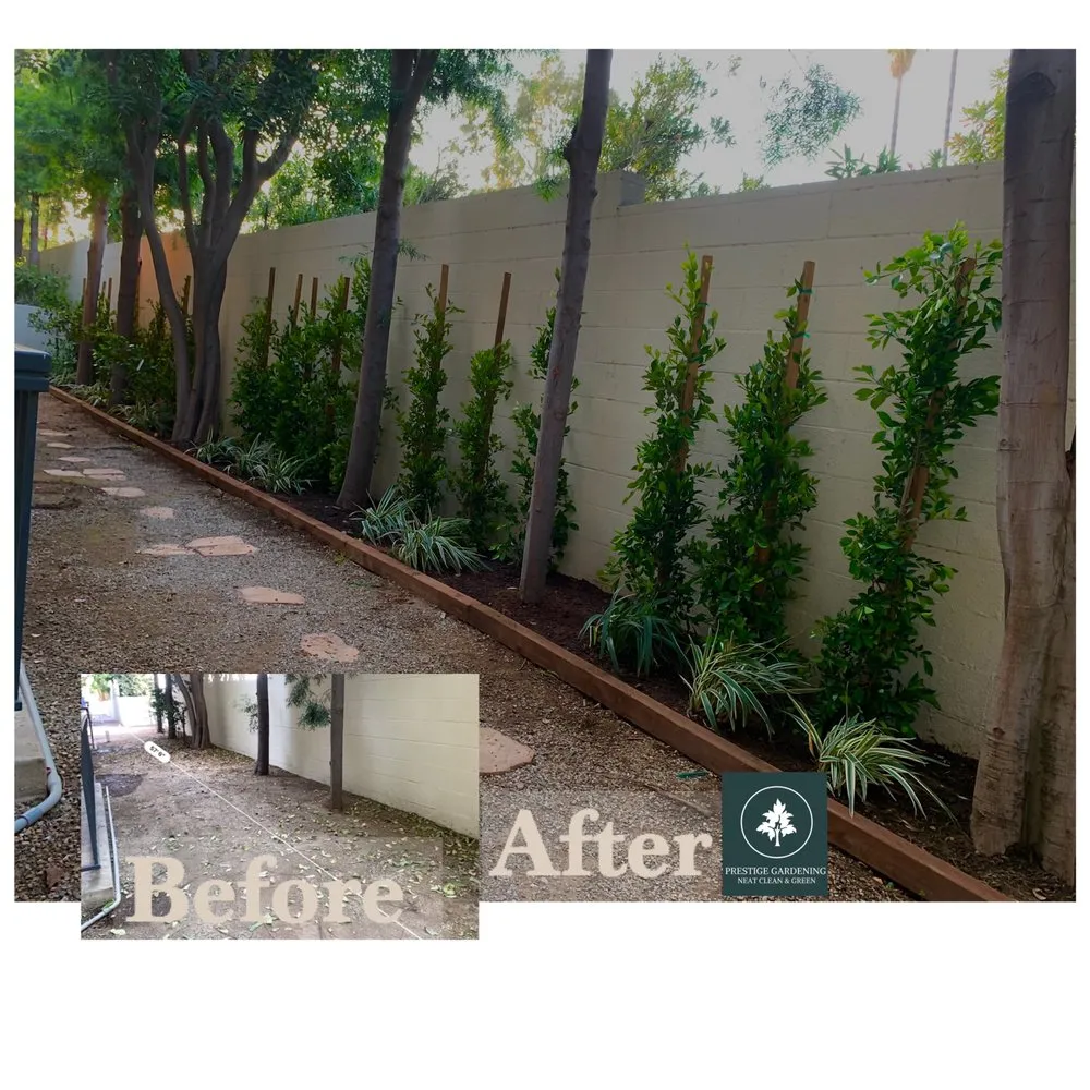 Top-rated outdoor landscaping with custom design in Pasadena, CA by Prestige Gardening Service