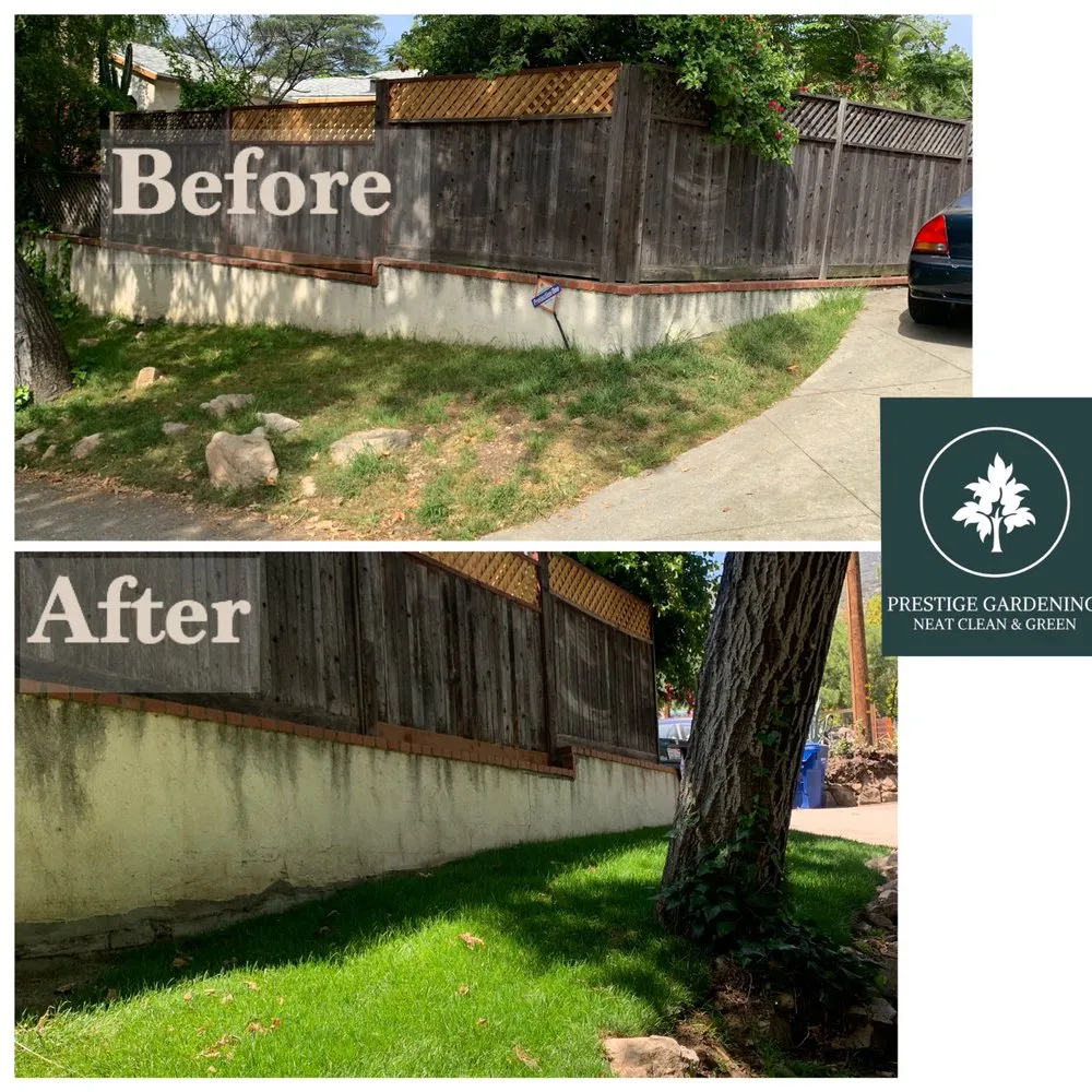 Professional garden landscaping in Pasadena, CA - Prestige Gardening Service