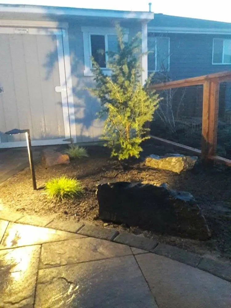 Trusted yard maintenance for outdoor upgrades across Everett, WA - Prestige Gardens