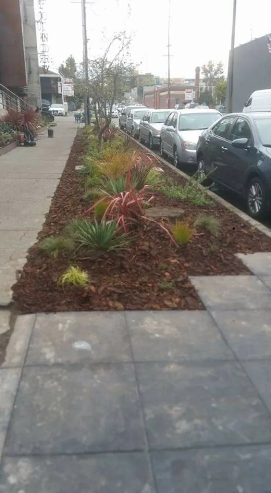 Top-rated lawn mowing service with custom design across Everett, WA - Prestige Gardens