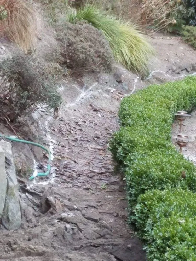 Professional landscape installation for residential properties across Everett, WA - Prestige Gardens