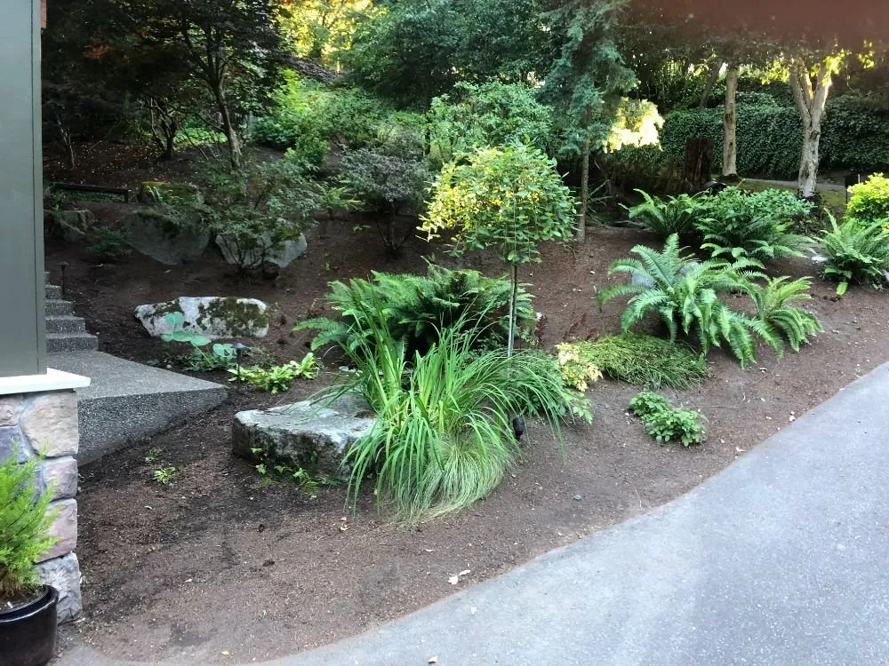 Reliable lawn care service in Everett, WA by Prestige Gardens