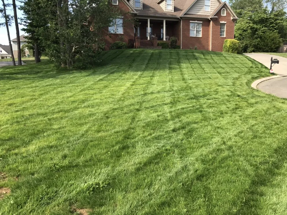 Custom garden landscaping experts serving Cleveland, TN - Prestige Hardscape And Construction