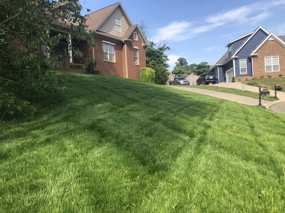 Reliable lawn mowing service experts serving Cleveland, TN - Prestige Hardscape And Construction