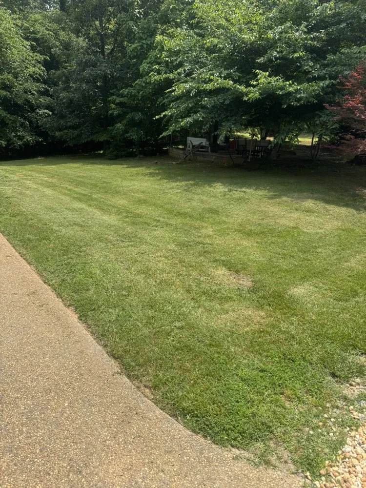 Affordable lawn care service for beautiful yards across Charlottesville, VA - Prestige Hauling & Landscaping Supply