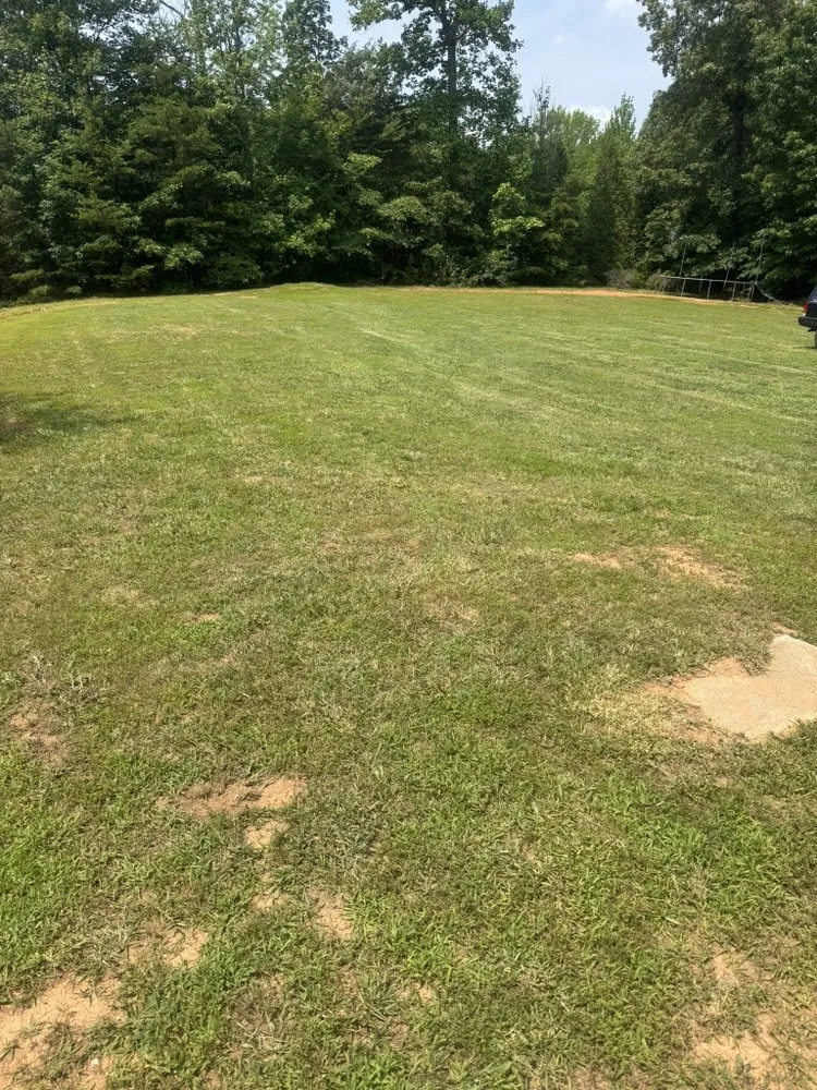 Top-rated yard cleanup service experts serving Charlottesville, VA - Prestige Hauling & Landscaping Supply