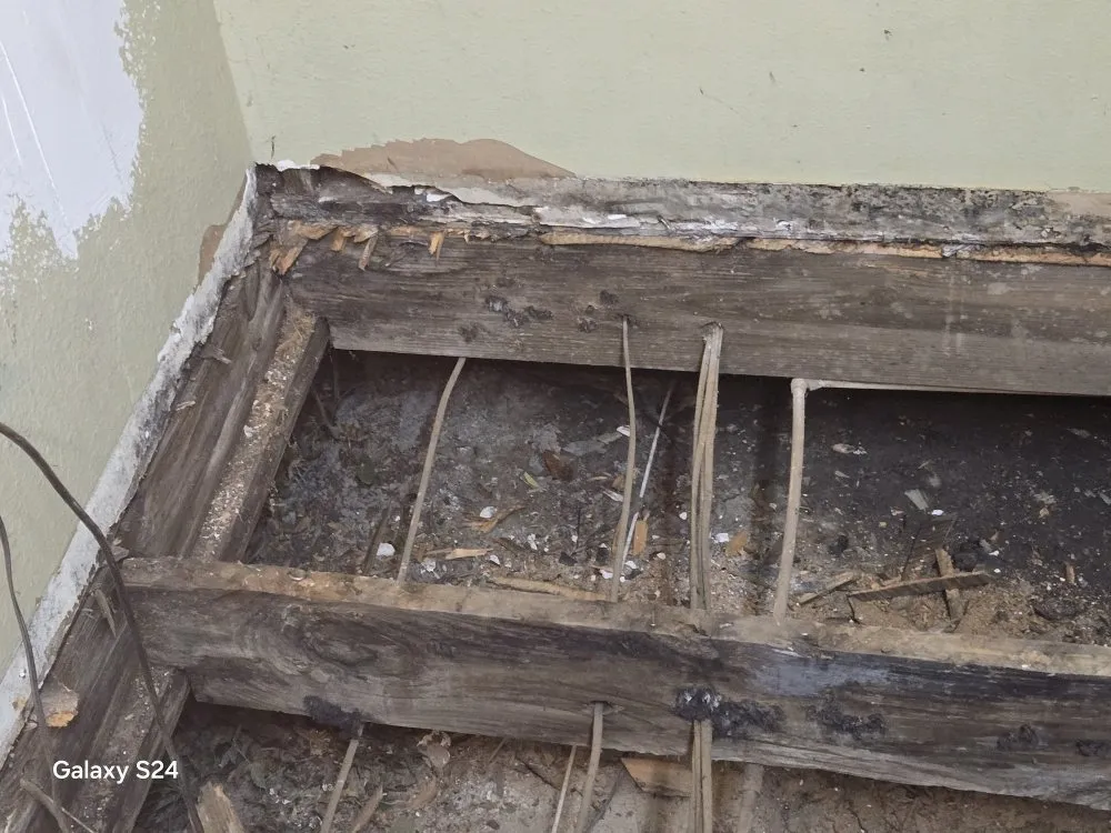 Professional yard maintenance experts serving Baton Rouge, LA - Prestige Home Enterprise