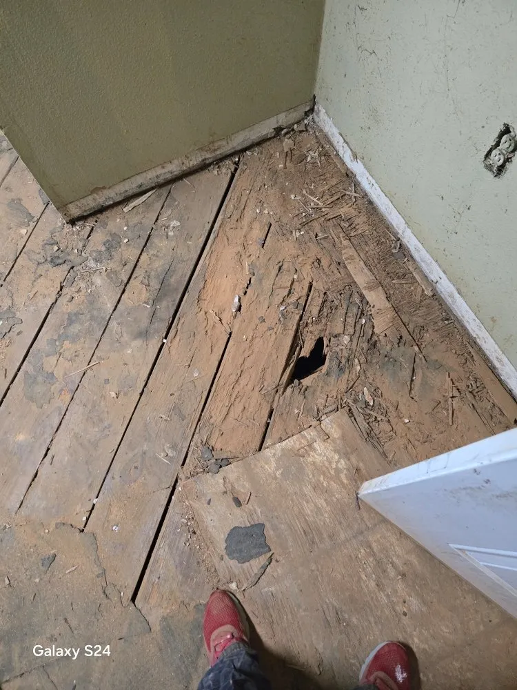 Top-rated lawn care service in Baton Rouge, LA by Prestige Home Enterprise