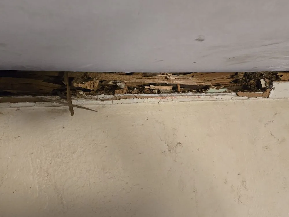 Top-rated garden landscaping experts serving Baton Rouge, LA - Prestige Home Enterprise