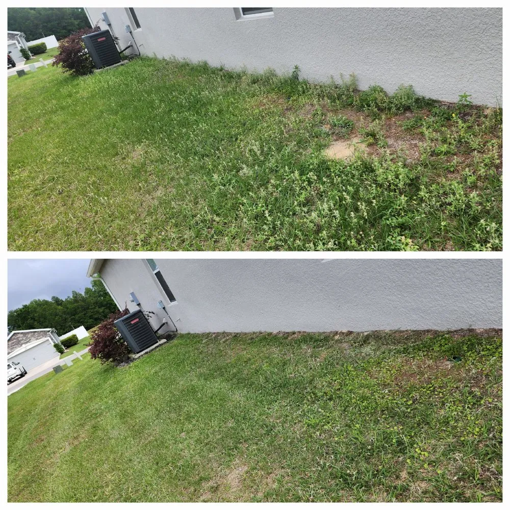 Local landscaping services experts serving Ocala, FL - Prestige Homes and Lawn