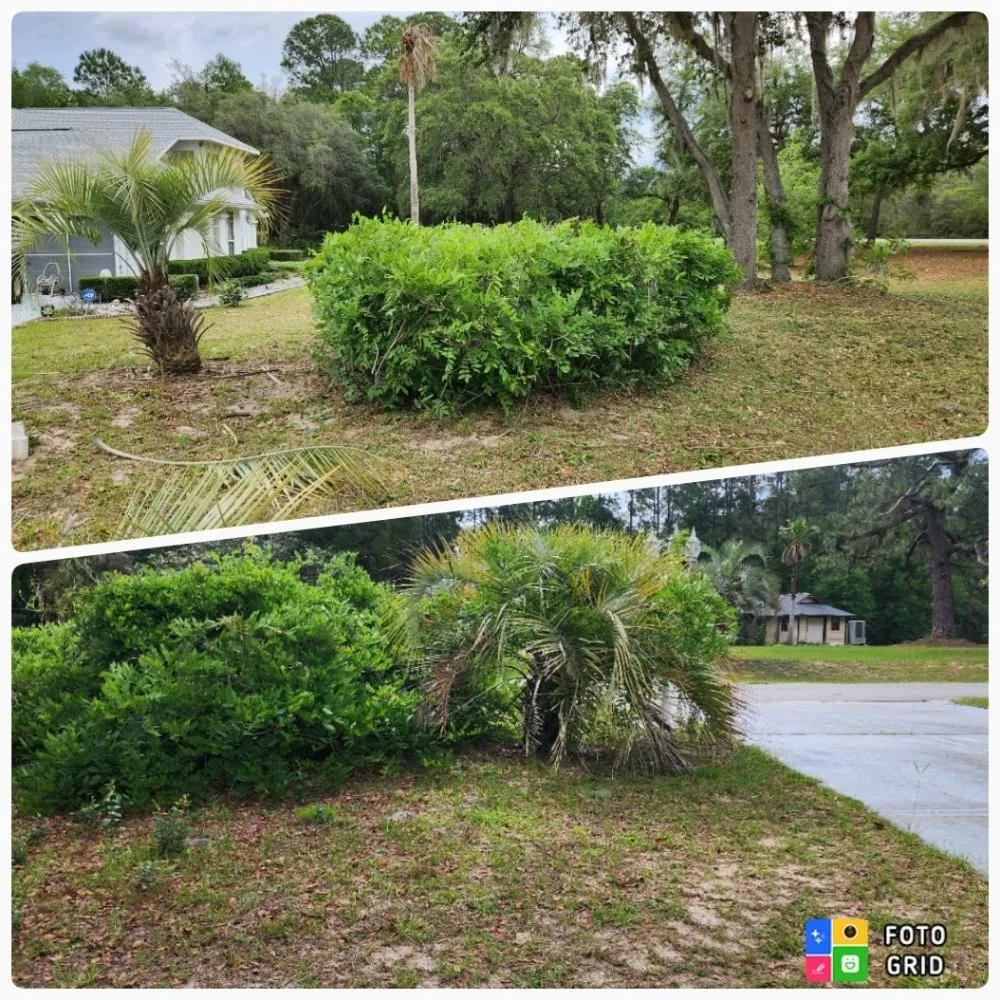 Professional landscape installation in Ocala, FL by Prestige Homes and Lawn