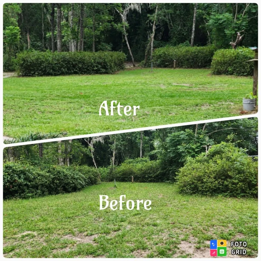 Local yard maintenance in Ocala, FL - Prestige Homes and Lawn
