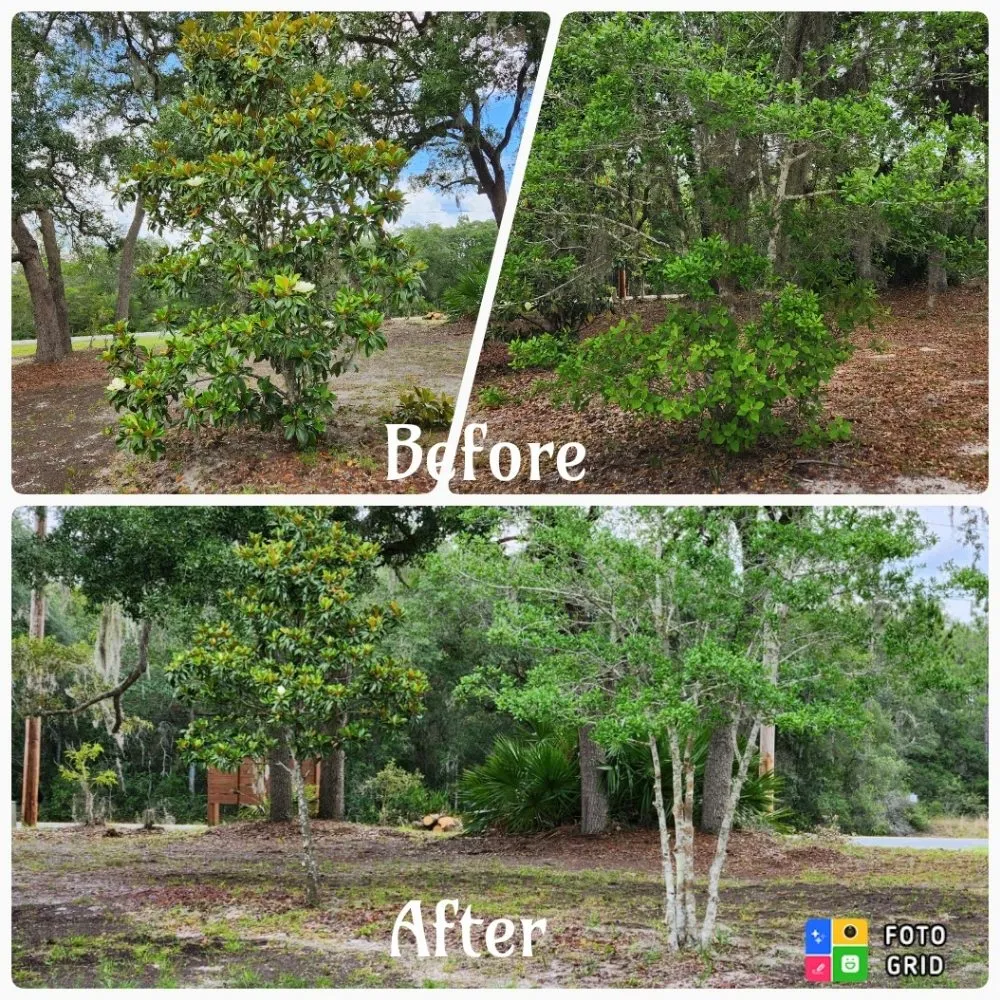 Trusted garden landscaping experts serving Ocala, FL - Prestige Homes and Lawn