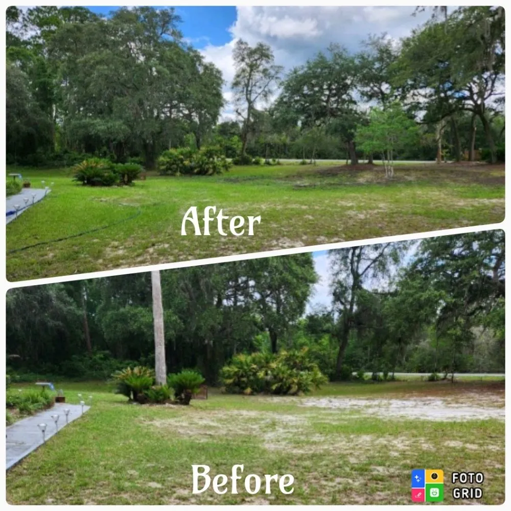 Local landscape design in Ocala, FL - Prestige Homes and Lawn