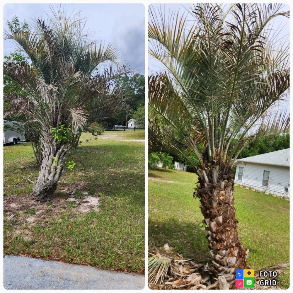 Trusted garden landscaping experts serving Ocala, FL - Prestige Homes and Lawn