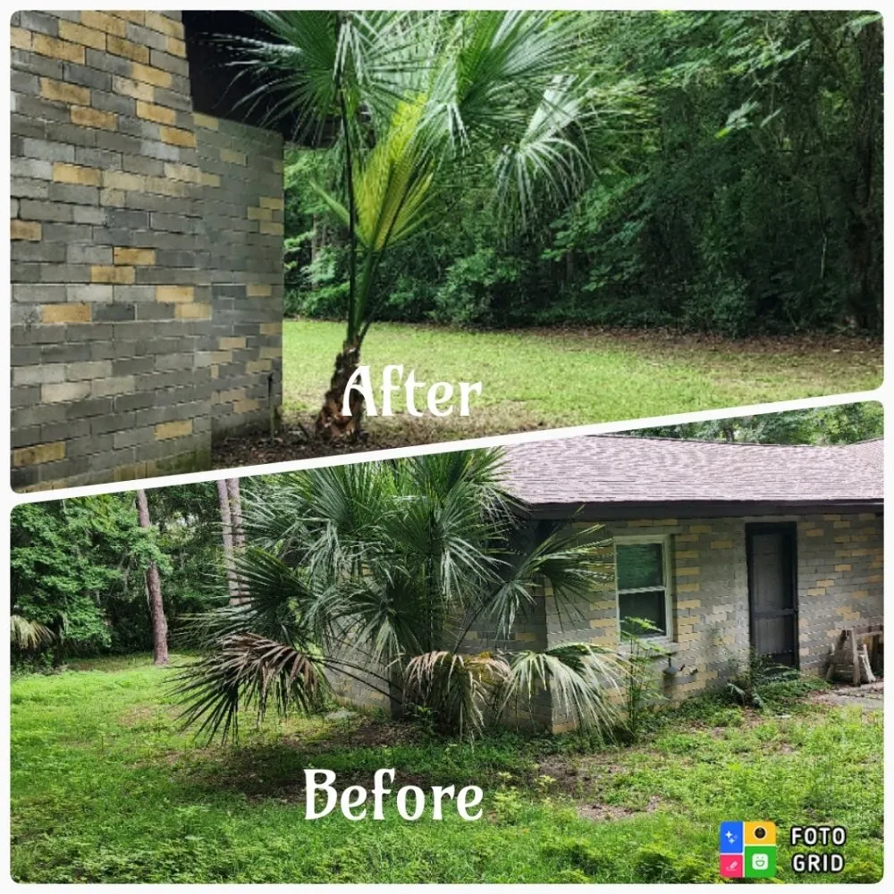 Top-rated landscaping services in Ocala, FL - Prestige Homes and Lawn