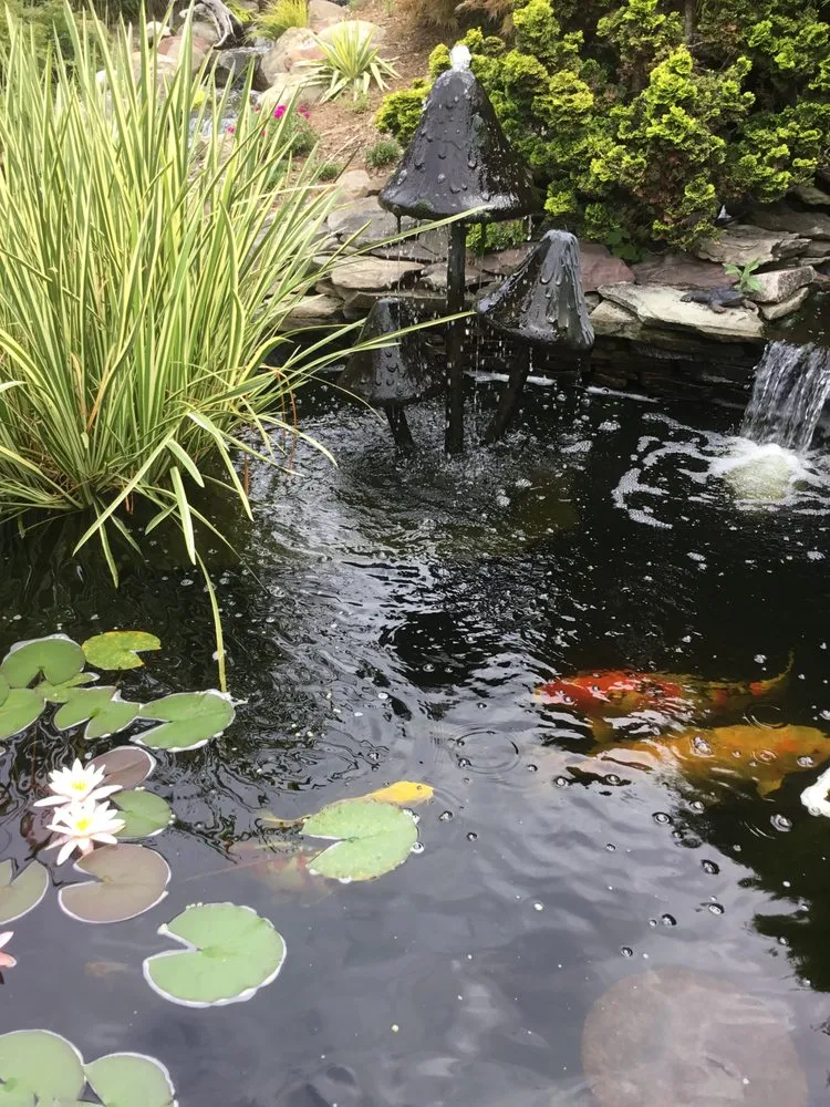 Professional landscaping services in Warrenton, VA by Prestige Illumination & Ponds