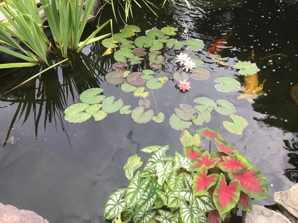 Affordable landscape design in Warrenton, VA by Prestige Illumination & Ponds