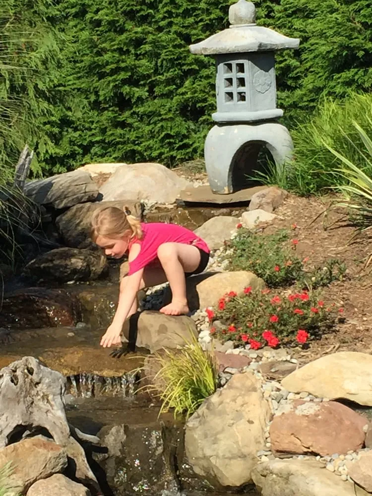 Expert yard cleanup service for beautiful yards in Warrenton, VA by Prestige Illumination & Ponds