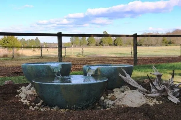 Professional yard cleanup service in Warrenton, VA by Prestige Illumination & Ponds