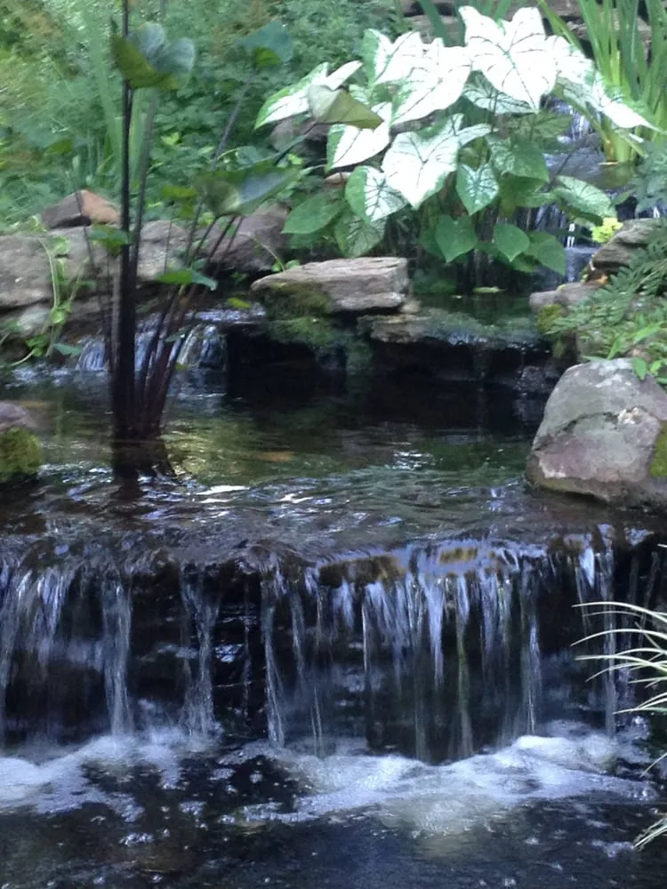 Top-rated garden landscaping experts serving Warrenton, VA - Prestige Illumination & Ponds