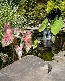 Prestige Illumination & Ponds