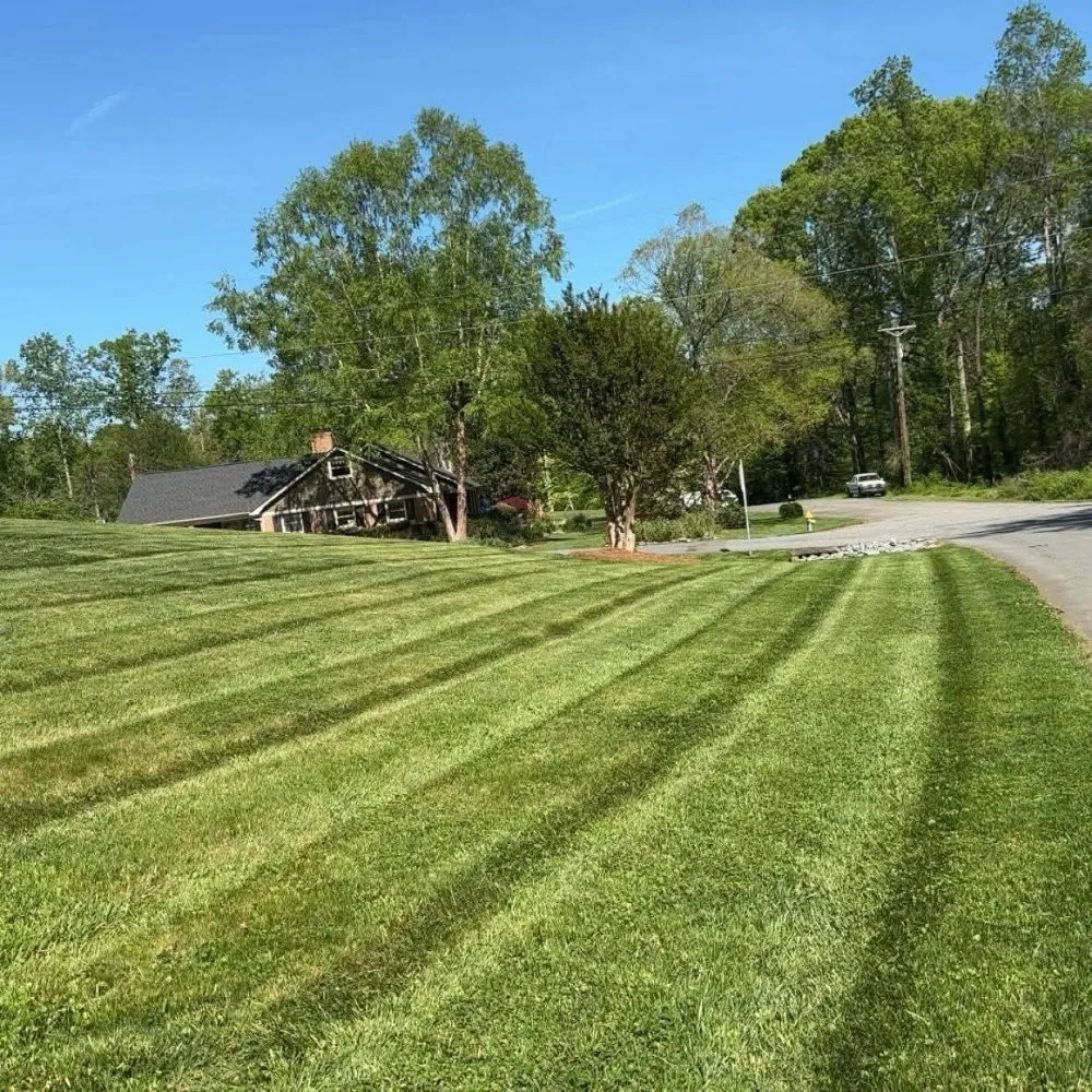 Trusted yard cleanup service experts serving Eagleville, PA - Prestige Land Management