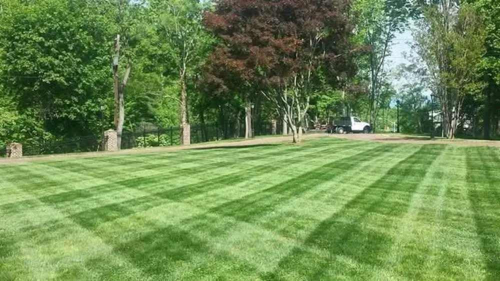 Custom landscape installation experts serving Eagleville, PA - Prestige Land Management