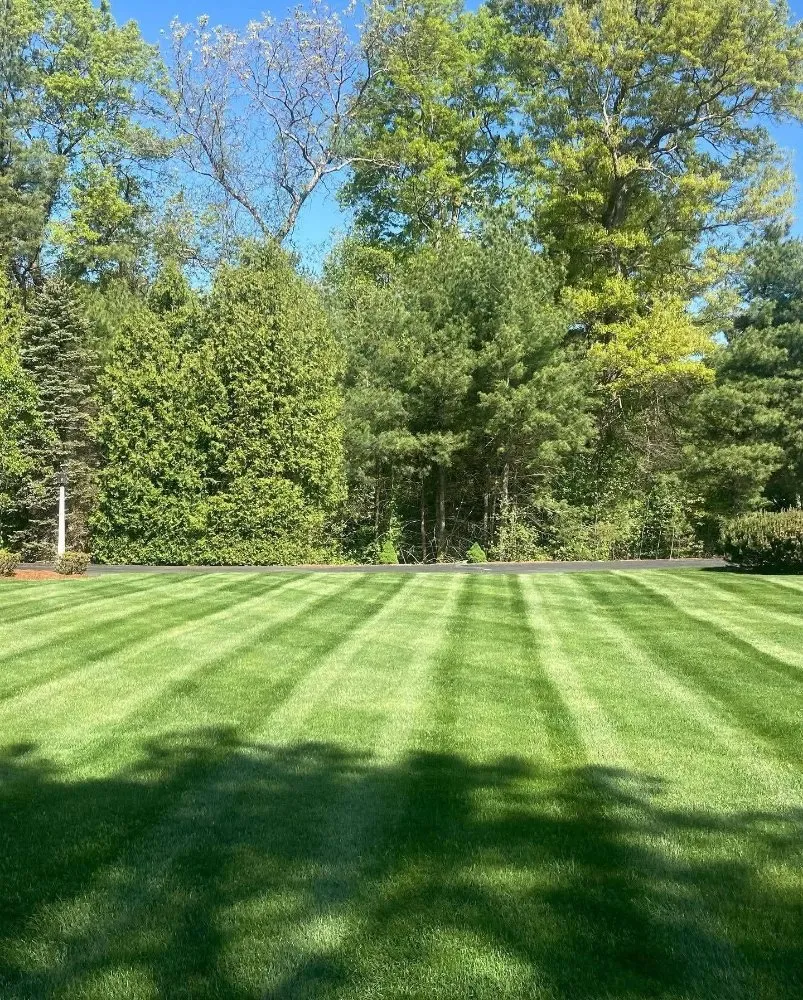 Expert landscape installation in Eagleville, PA - Prestige Land Management