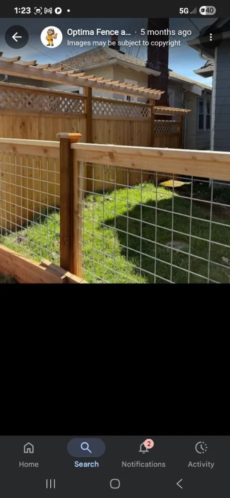 Top-rated yard cleanup service experts serving Washington DC, DC - Prestige Landscape & Design