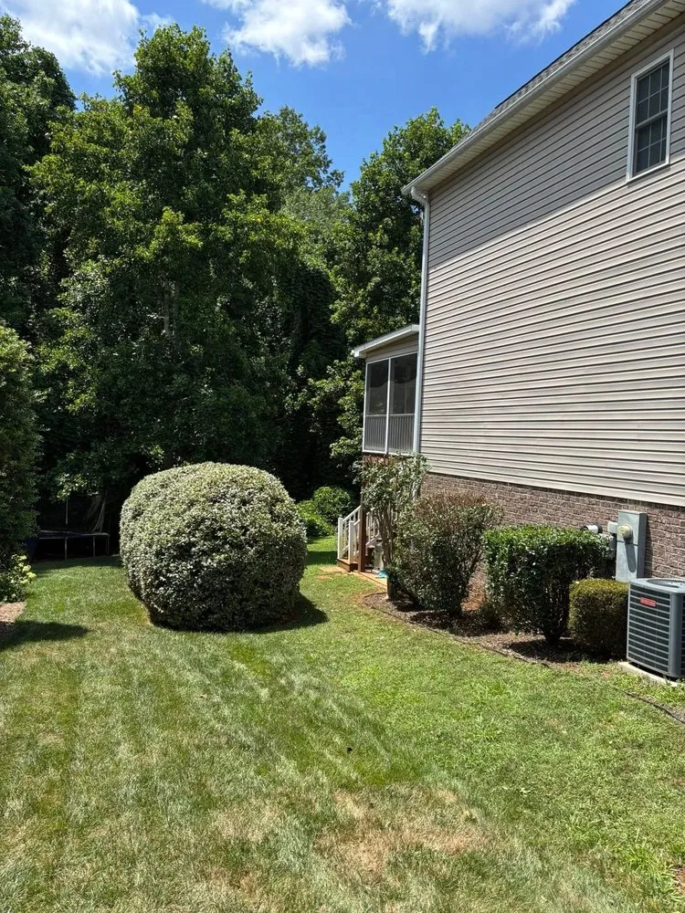 Professional yard cleanup service for year-round maintenance across Hickory, NC - Prestige Landscape and Design