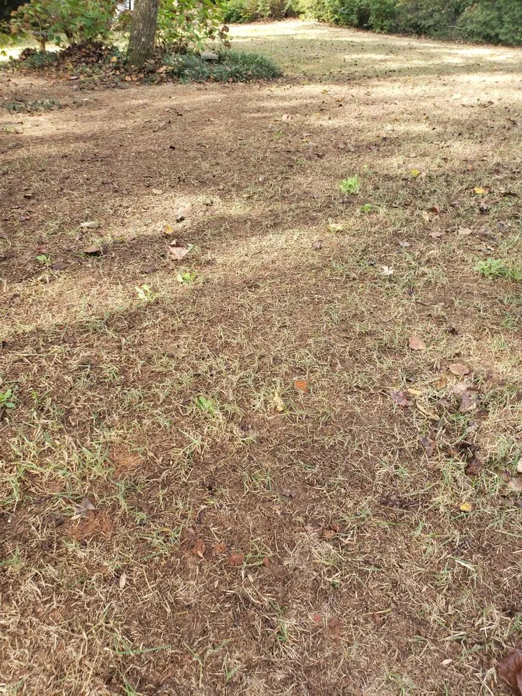 Professional yard maintenance near you across Cartersville, GA - Prestige Landscape Group and Sod Action