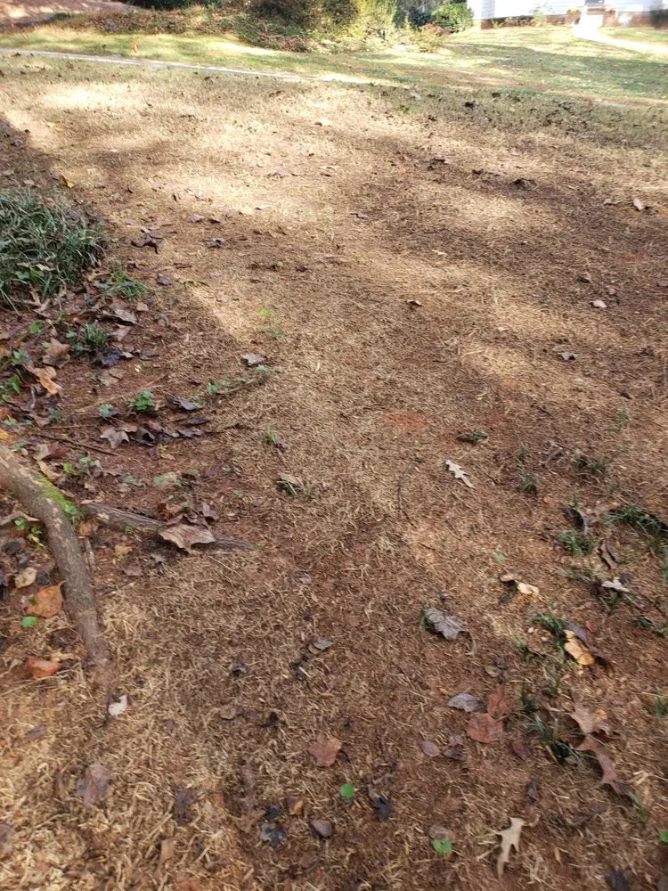 Local landscaping services in Cartersville, GA - Prestige Landscape Group and Sod Action