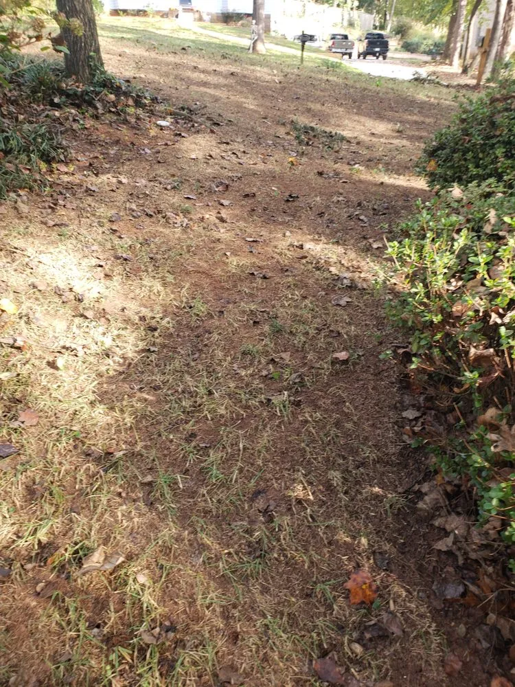 Local landscape design experts serving Cartersville, GA - Prestige Landscape Group and Sod Action