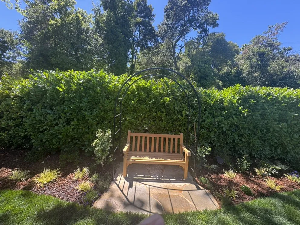 Affordable landscape installation in San Carlos, CA - Prestige Landscape