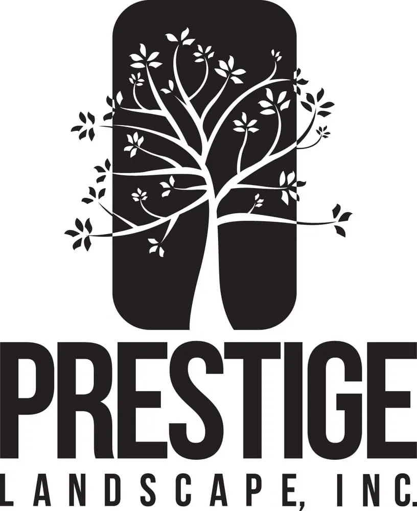 Reliable residential landscaping for homes across San Carlos, CA - Prestige Landscape