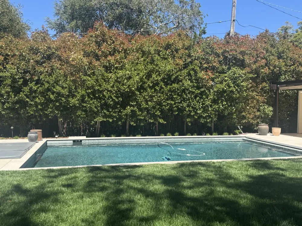 Trusted outdoor landscaping with custom design across San Carlos, CA - Prestige Landscape