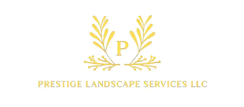 Reliable landscape design in El Mirage, AZ by Prestige Landscape Services