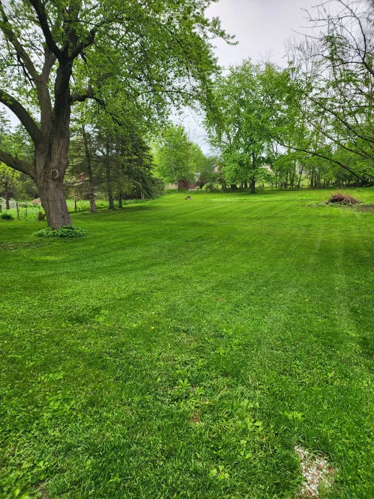 Top-rated outdoor landscaping experts serving Sheboygan, WI - Prestige Landscape Solutions