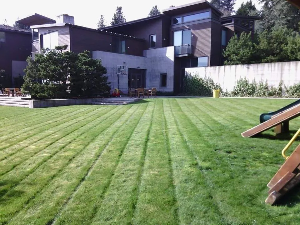 Local lawn mowing service in Fort Wayne, IN - Prestige Landscapes
